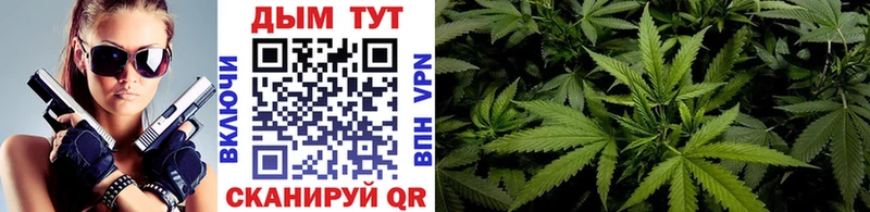 Шишки марихуана Bruce Banner Моршанск
